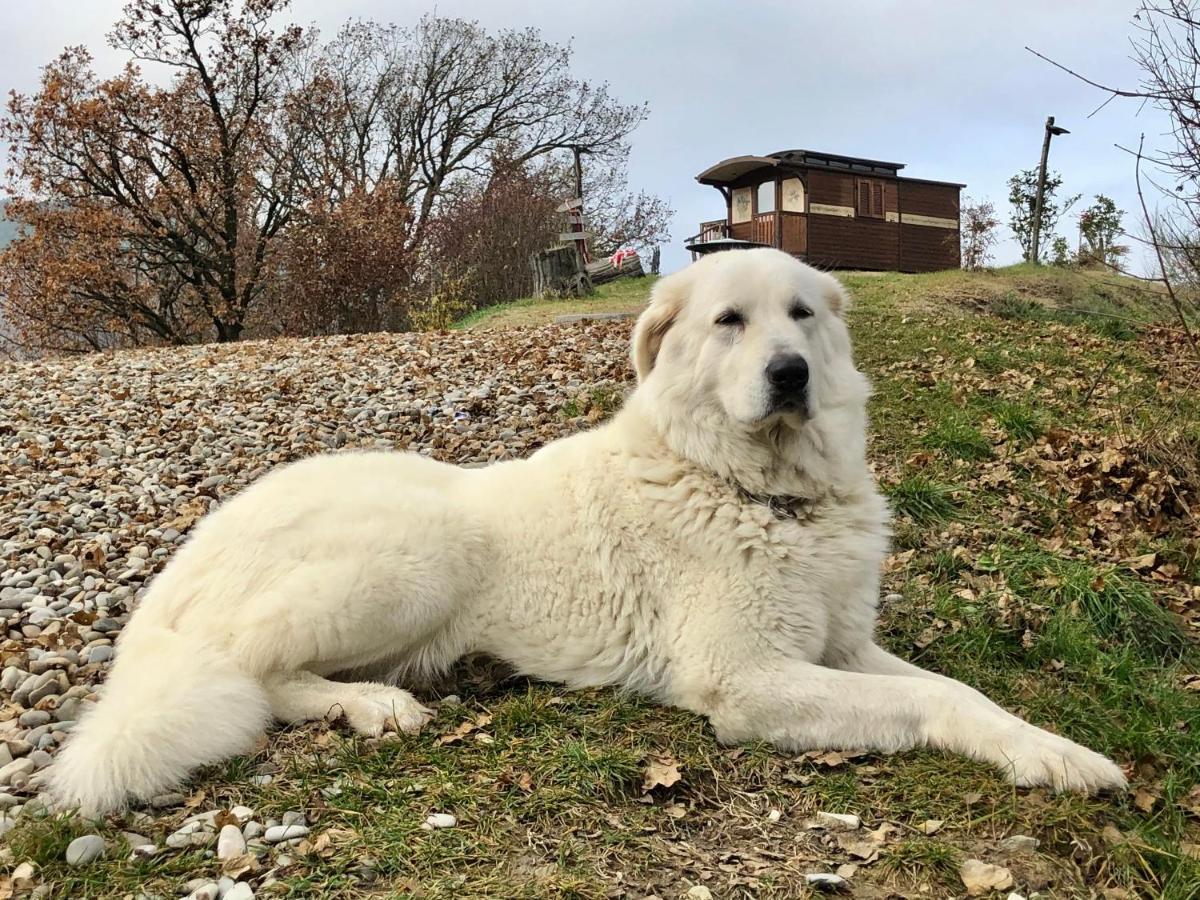 La Locanda Nel Vento Calestano Luaran gambar