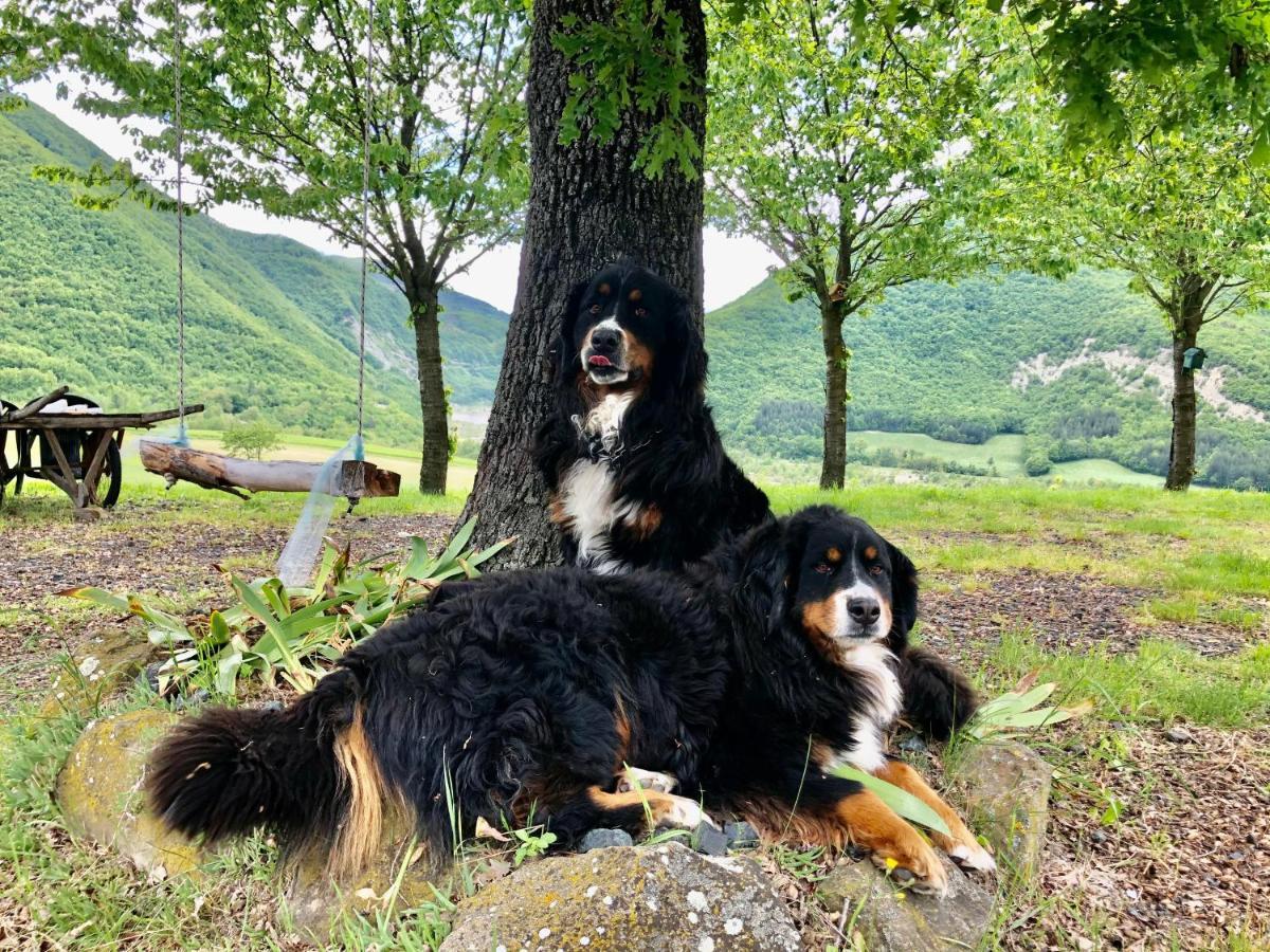 La Locanda Nel Vento Calestano Luaran gambar