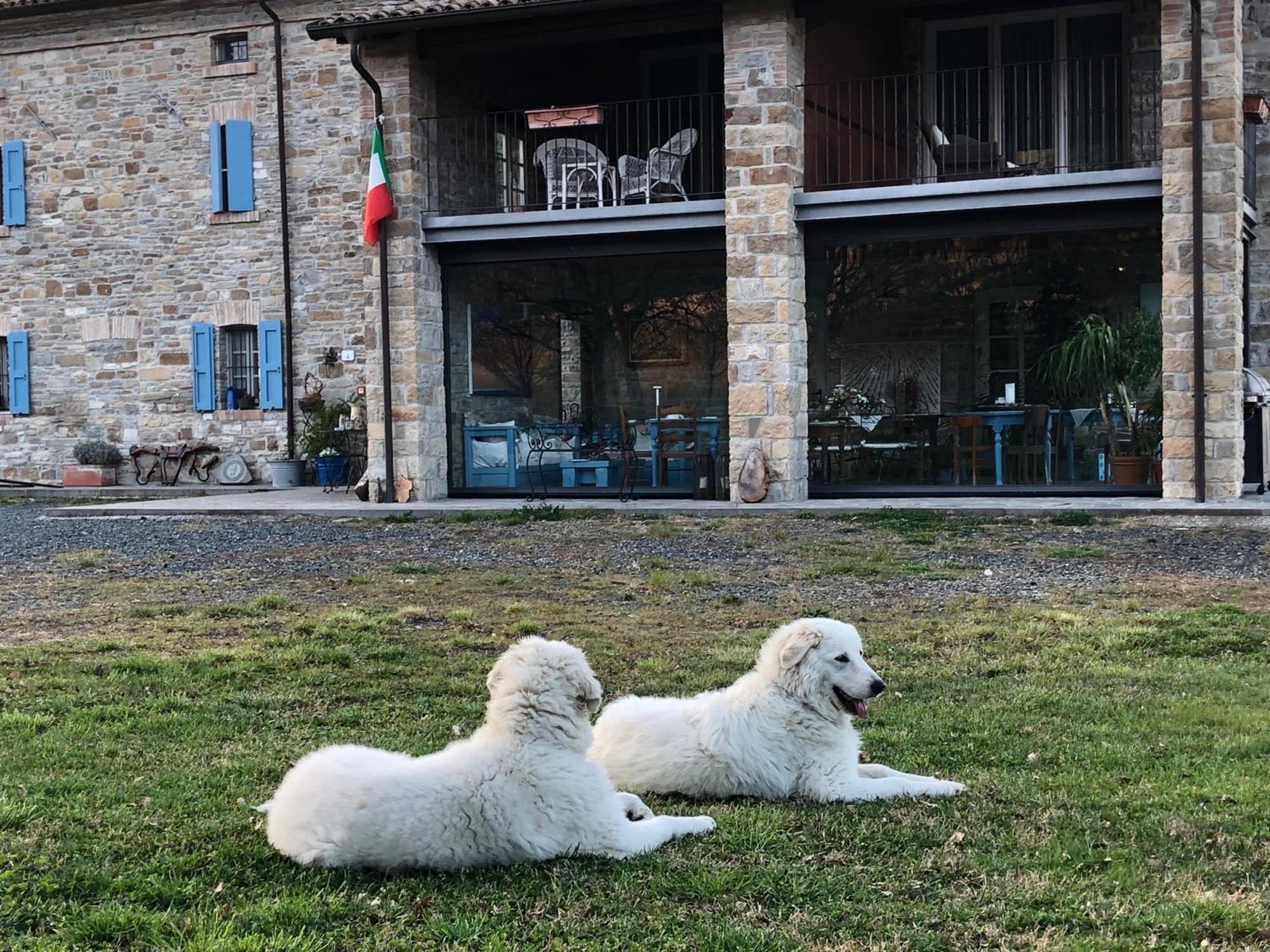 La Locanda Nel Vento Calestano Luaran gambar