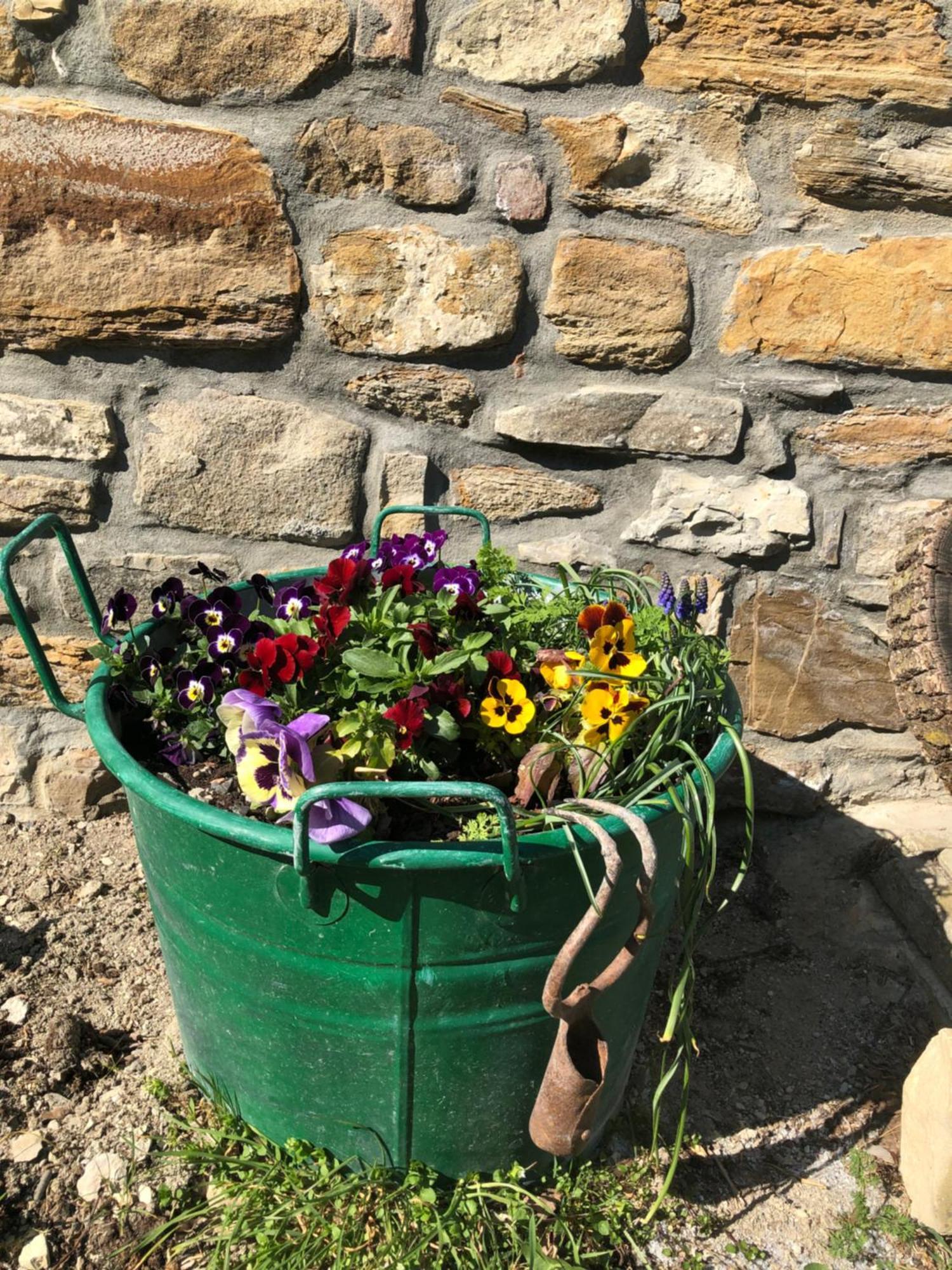 La Locanda Nel Vento Calestano Luaran gambar