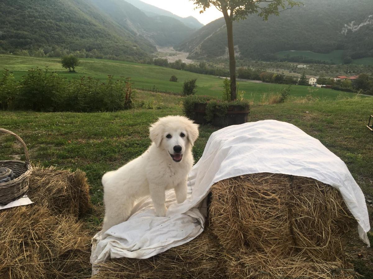 La Locanda Nel Vento Calestano Luaran gambar
