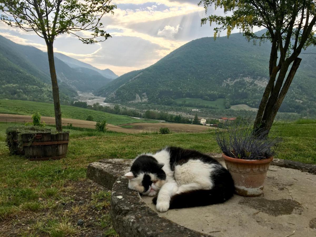 La Locanda Nel Vento Calestano Luaran gambar